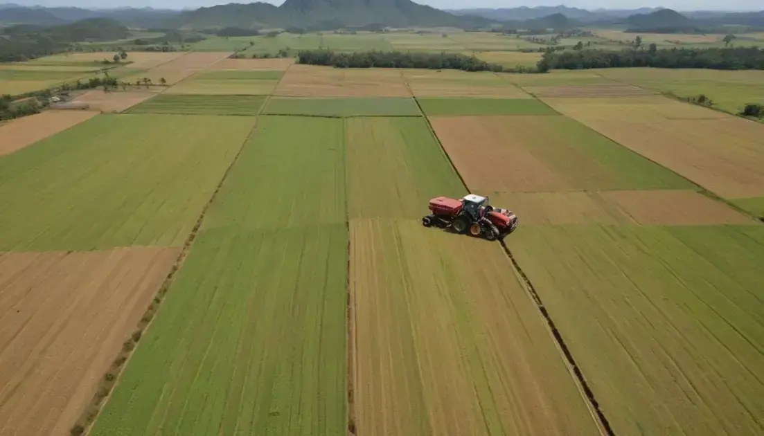 Zonas agrícolas brasileiras: descubra as regiones de maior produtividade