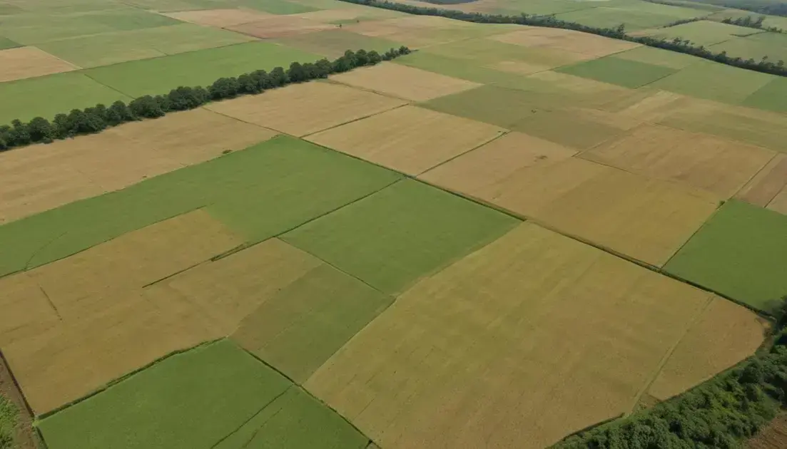 O impacto das zonas agrícolas na economia brasileira