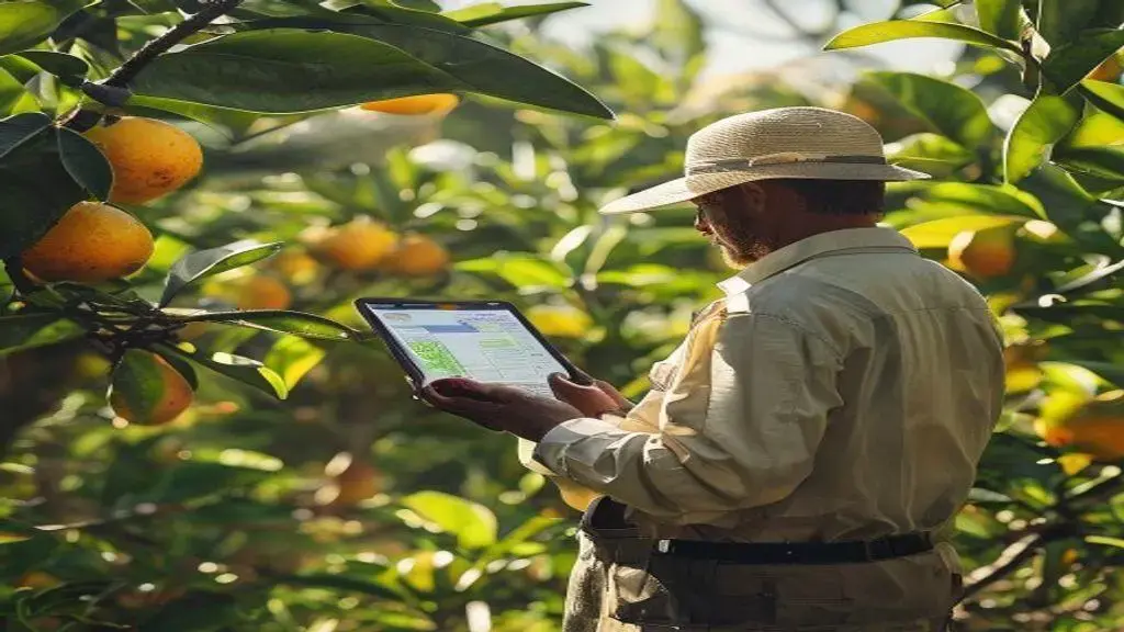 Citricultores paulistas devem entregar relatório de greening até o dia 15