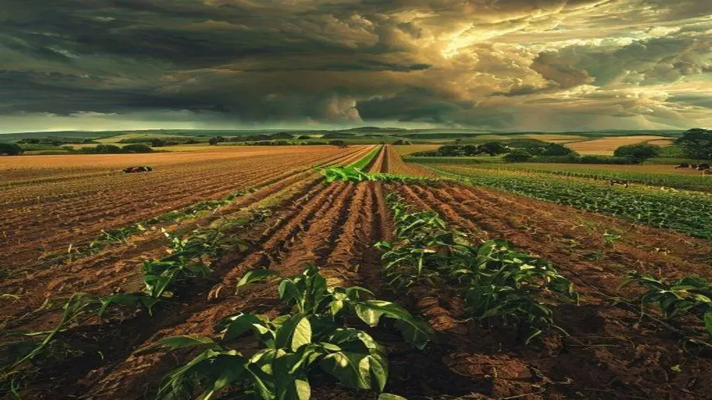 El Niño forte preocupa com risco de perdas, mas especialistas descartam colapso