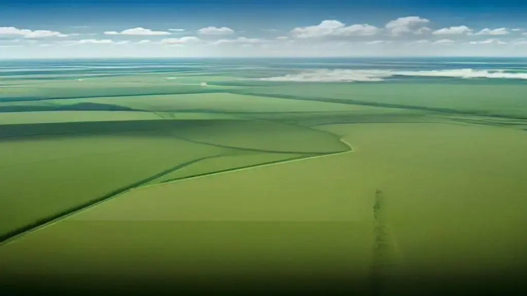 Adecoagro conclui compra de usina da Raízen em Mato Grosso do Sul por valor 7% menor que anunciado